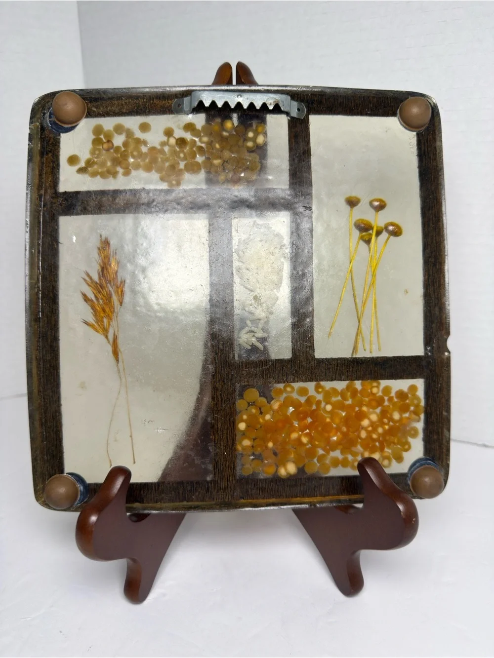 Botanical Glass Panel Wall Decor in Amber and Cream